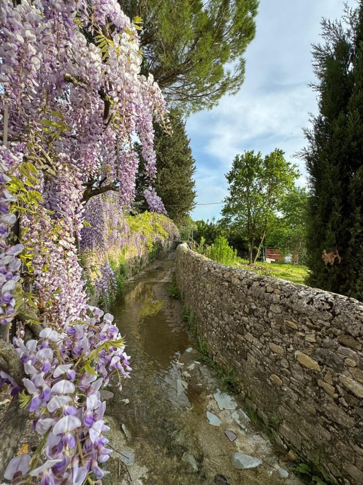 Your Private Tuscan Villa 17 Min to Florence City Centre · Private Pool · 6 Suites · 7 Baths