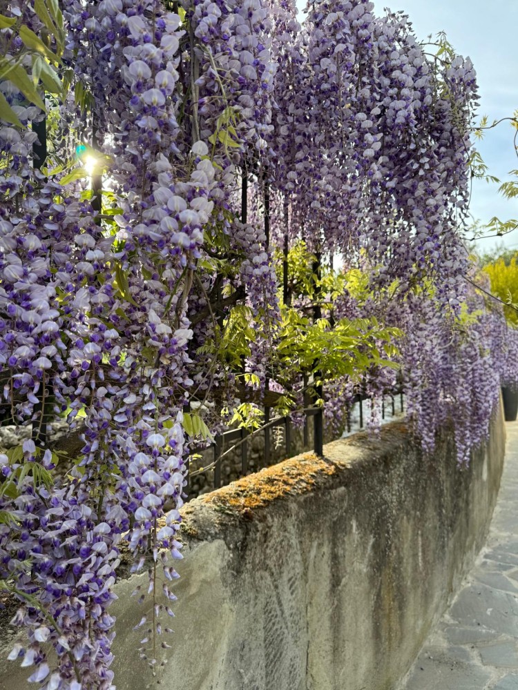 Your Private Tuscan Villa 17 Min to Florence City Centre · Private Pool · 6 Suites · 7 Baths